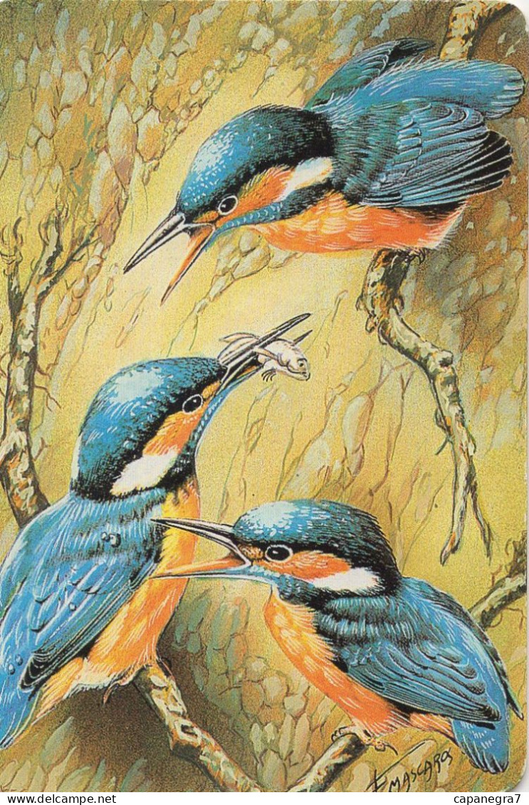 Kingfisher, 1997, Spain - Grossformat : 2001-...