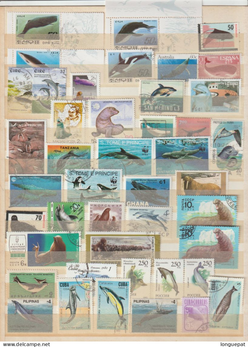 Lot De 67 Timbres Différents De Cétacées - Tous Pays Et Continents- - Ballenas