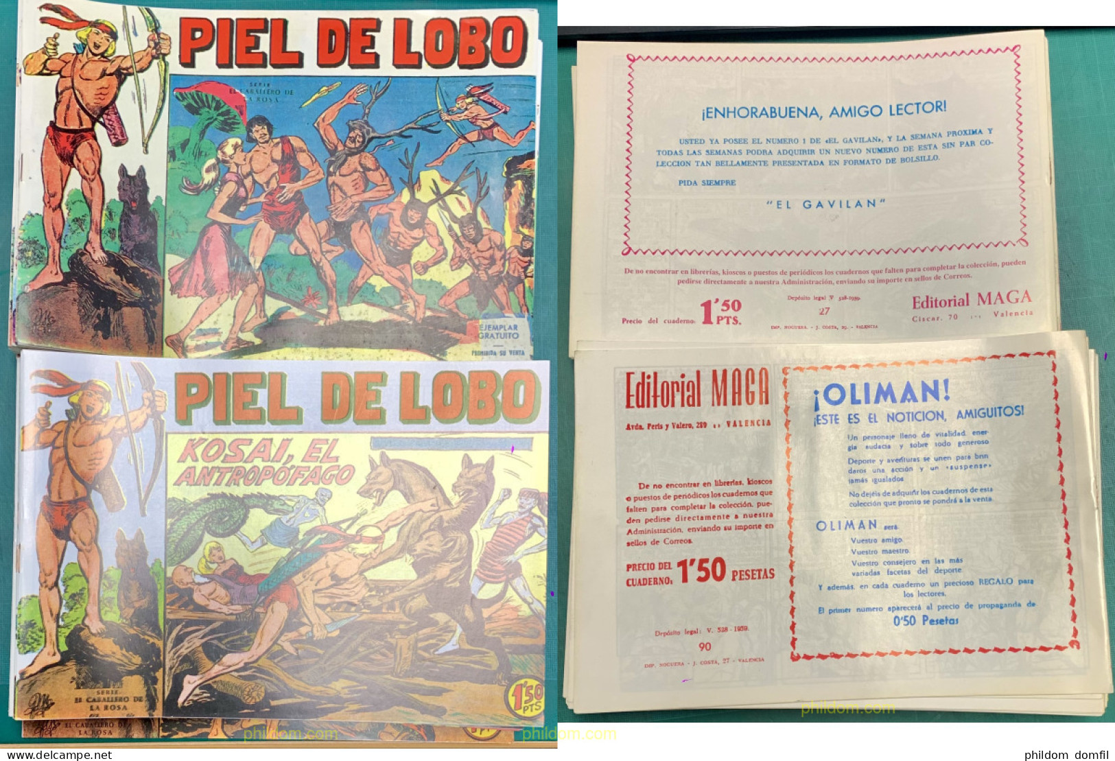 PIEL DE LOBO. Editorial MAGA. Número 1 Al 90 - Old Comic Books