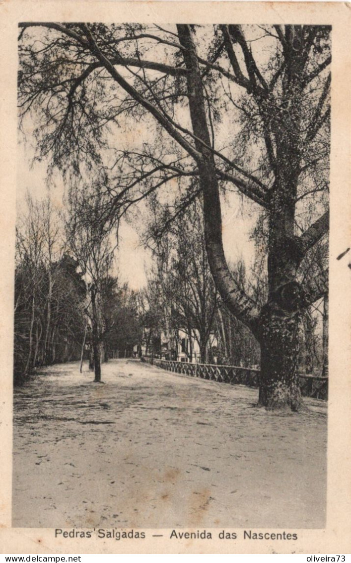 PEDRAS SALGADAS - Avenida Das Nascentes - PORTUGAL - Vila Real