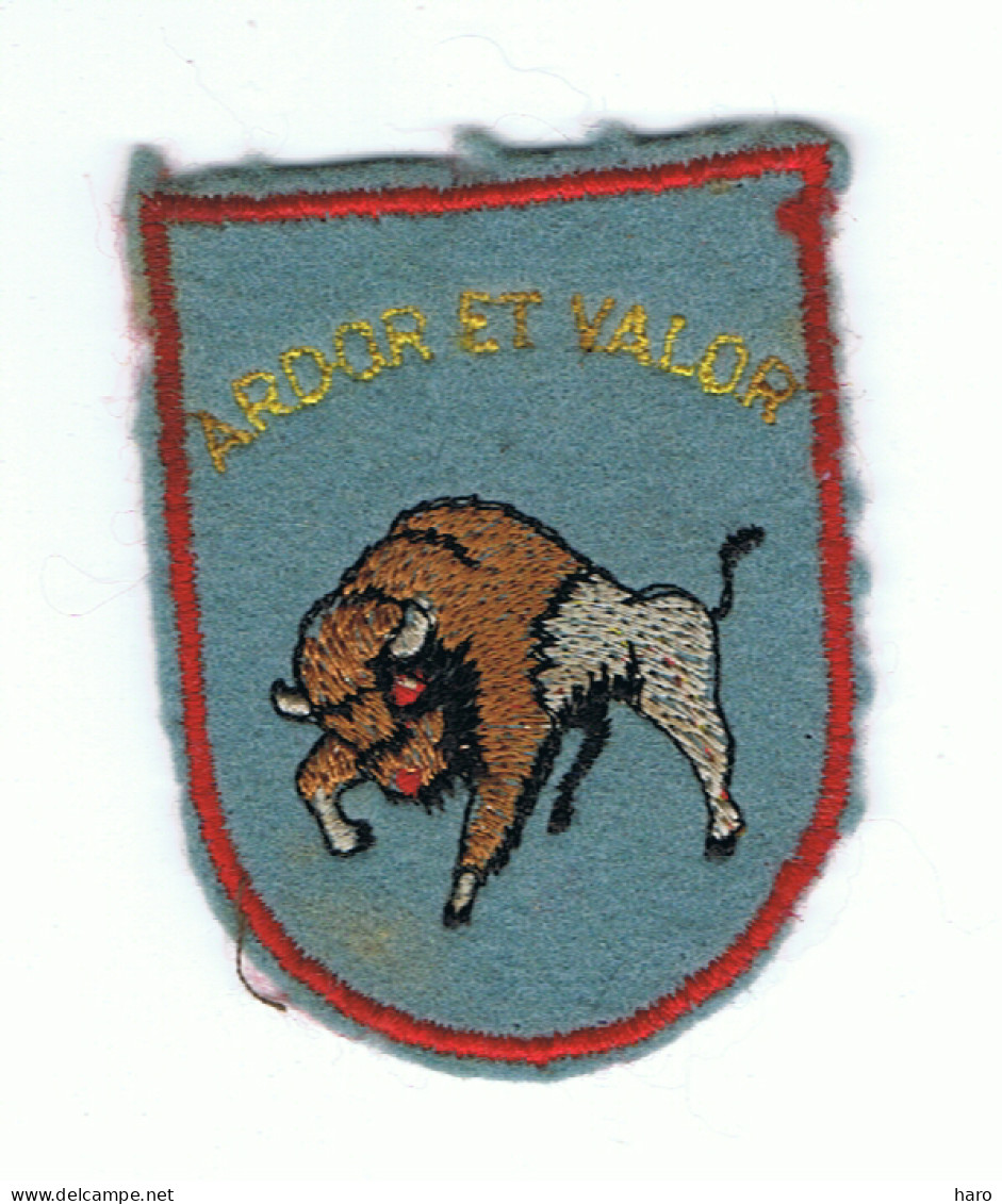 Patch - Ecusson Tissu Brodé - 3e Wing Tactique - Devise " ARDOR ET VALOR "  Aviation - Belgian Air Force ( B321) - Fliegerei