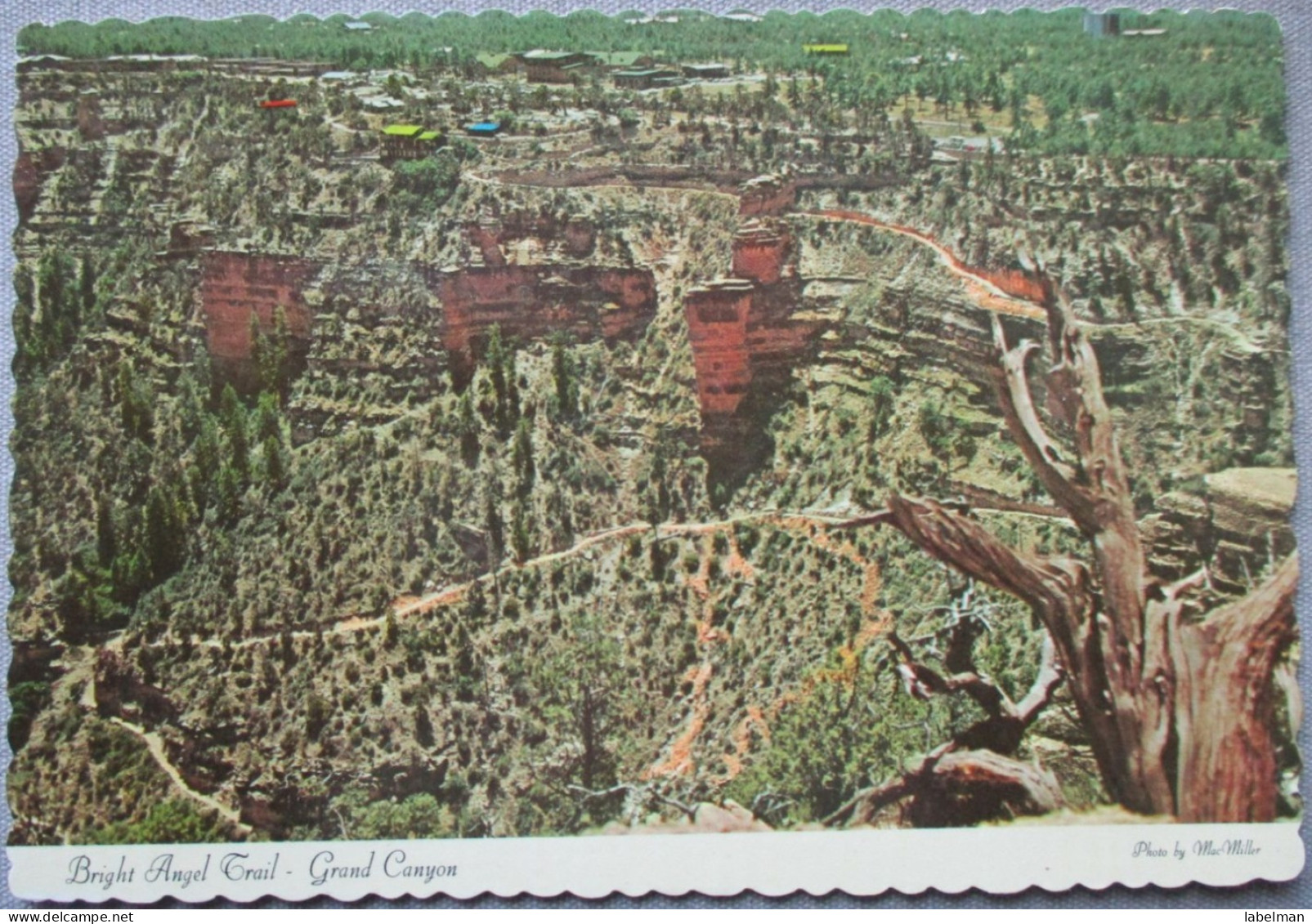 USA UNITED STATES ARIZONA GRAND CANYON BRIGHT ANGEL TRAIL CARD POSTCARD CARTE POSTALE ANSICHTSKARTE CARTOLINA POSTKARTE - Las Vegas