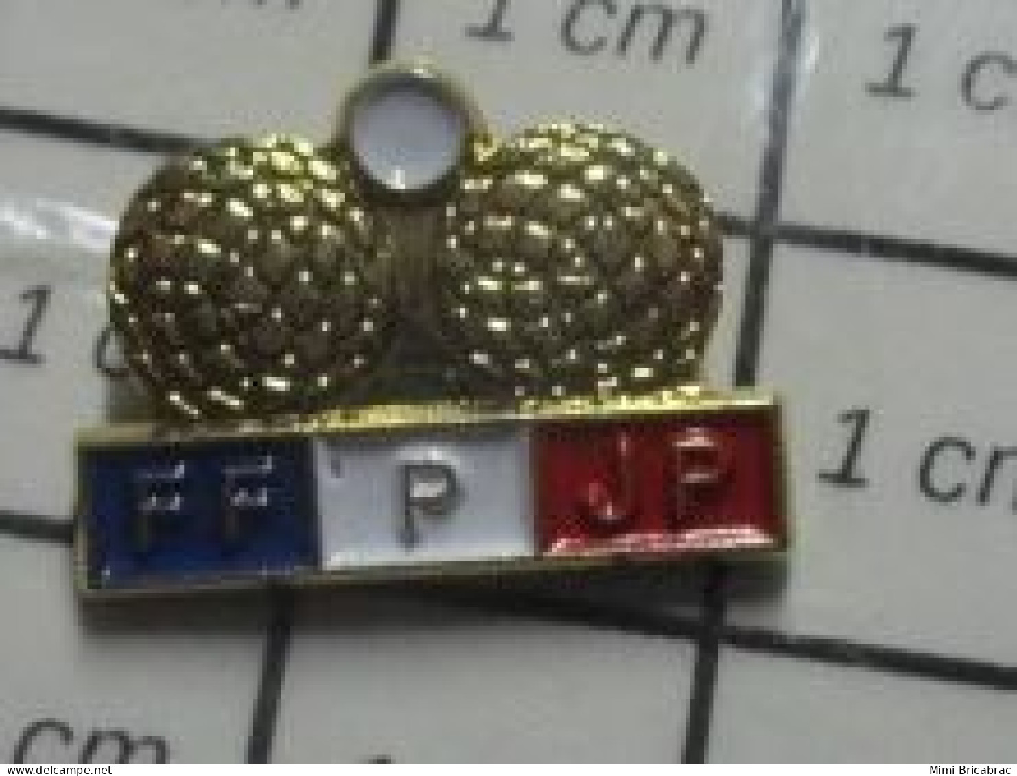 1518A Pin's Pins / Beau Et Rare / SPORTS / PETANQUE FFPJP BOULES ET COCHONET - Pétanque