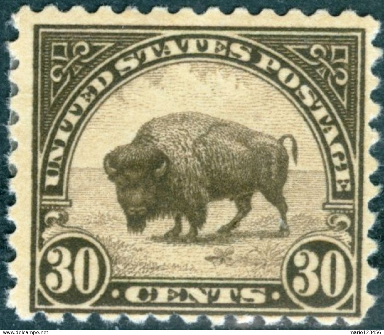 STATI UNITI D’AMERICA, UNITES STATES, FAUNA, BISONTE, 1931, FRANCOBOLLI (MLH*) Mi:US 281F, Scott:US 700, Yt:US 244(B) - Neufs