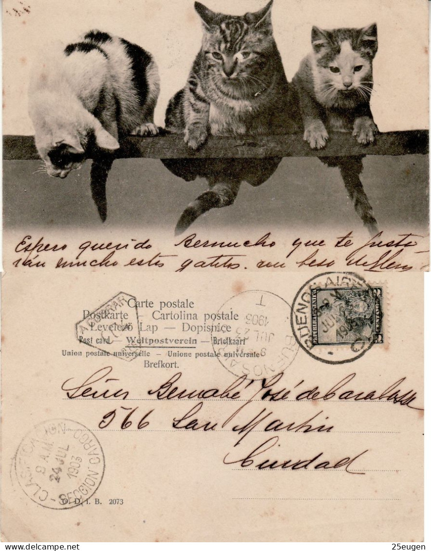 ARGENTINA 1903 POSTCARD SENT TO  BUENOS AIRES - Storia Postale