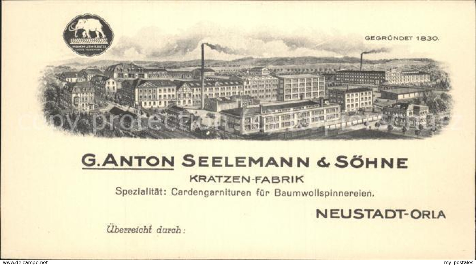 41492384 Neustadt Orla G. Anton Seelemann & Soehne Kratzen-Farbrik Neustadt Orla - Neustadt / Orla