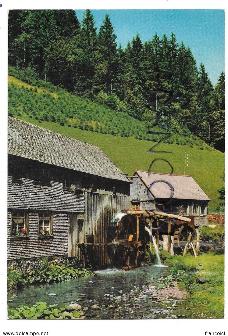 Moulin à Eau En Forêt Noire - Wassermühlen