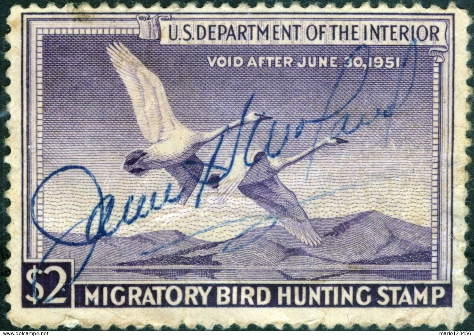 STATI UNITI D’AMERICA, UNITES STATES, TASSE, FAUNA, UCCELLI; BIRDS, 1950, USATI Scott:US RW17 (10,50) - Usados