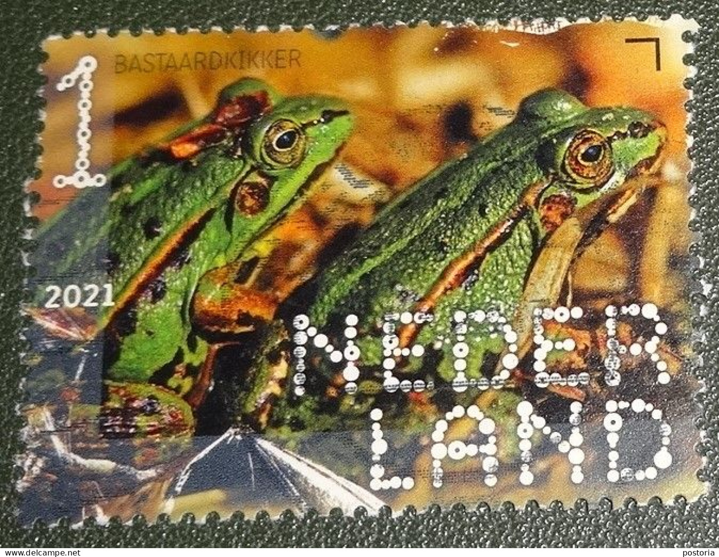 Nederland - NVPH - Xxxx - 2021 - Gebruikt - Used - Beleef De Natuur - Bastaardkikker - Used Stamps