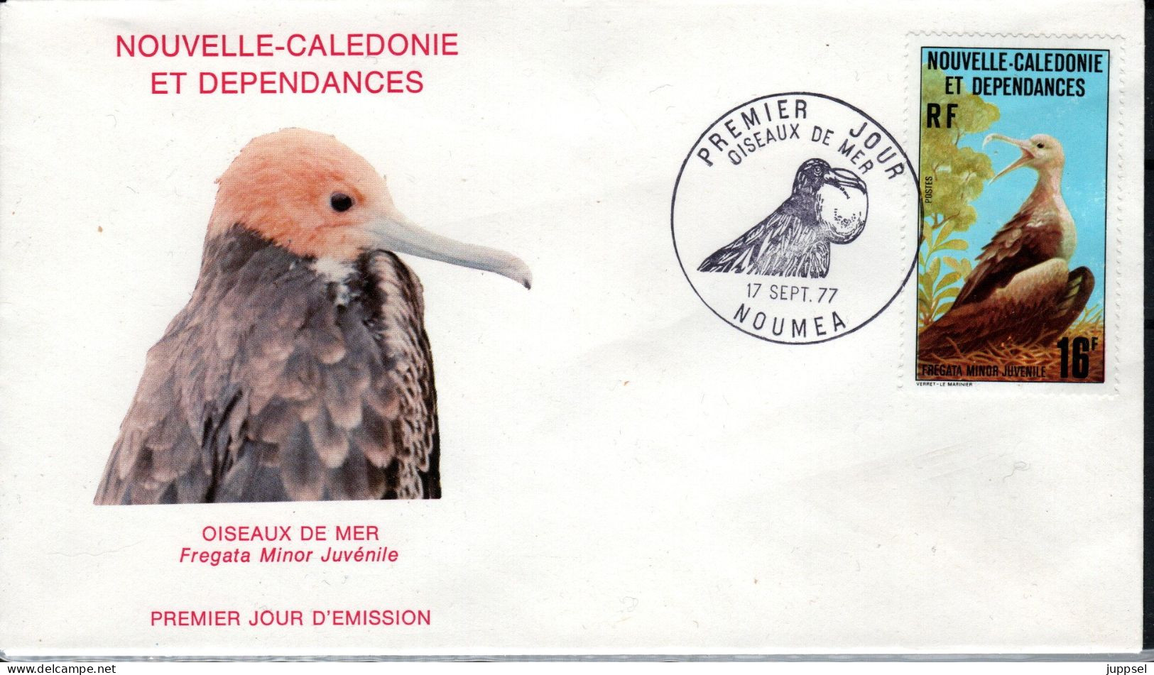 NEW CALEDONIA, FDC, Bird, Fregattbird   /  NOUVELLE CALEDONIE, Lettre De Première Jour, Fregata  1977 - Palmípedos Marinos
