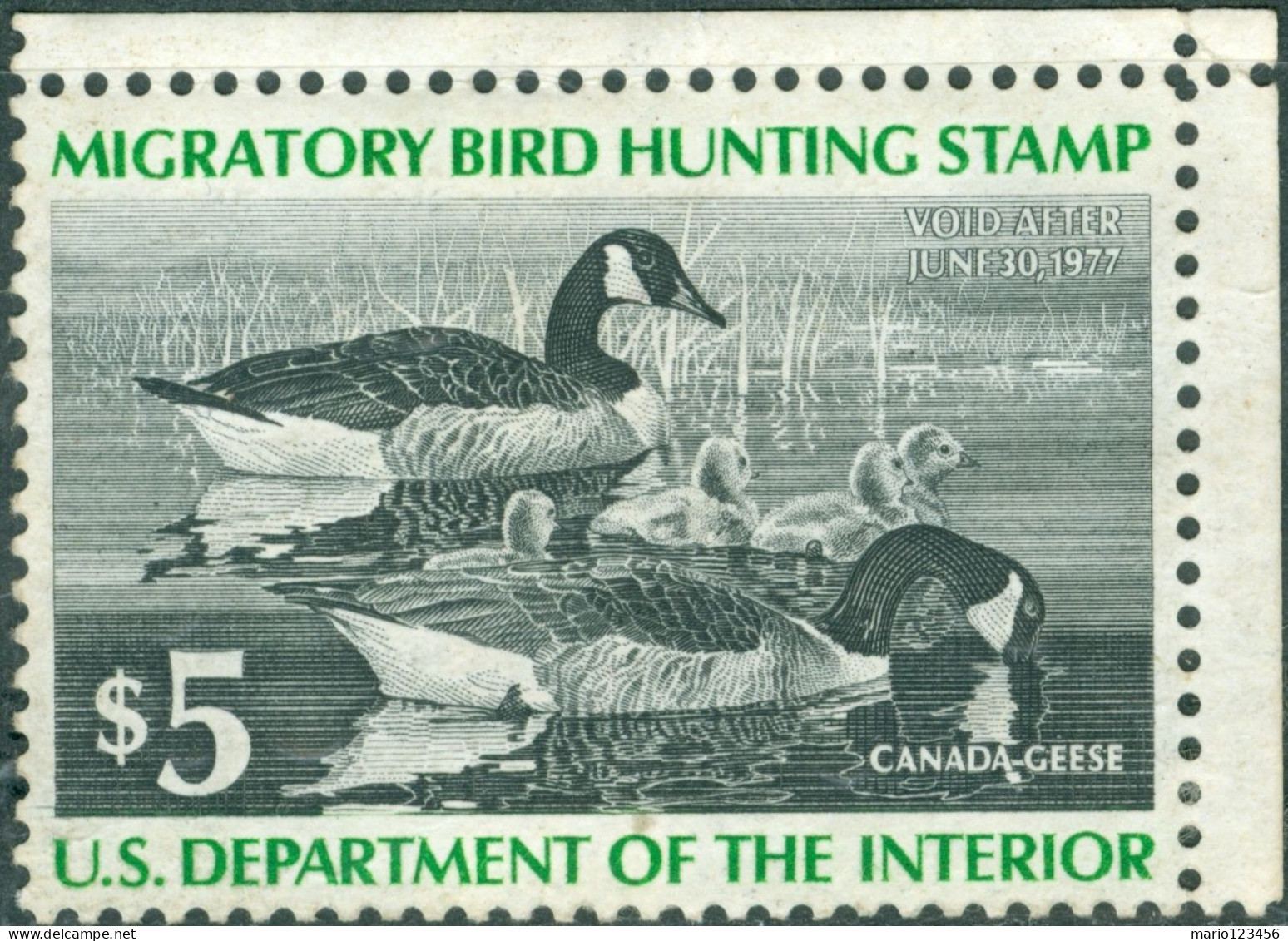 STATI UNITI D’AMERICA, UNITES STATES, TASSE, FAUNA, UCCELLI, BIRDS, 1976, (MLH*) Scott:US RW43 - Oblitérés