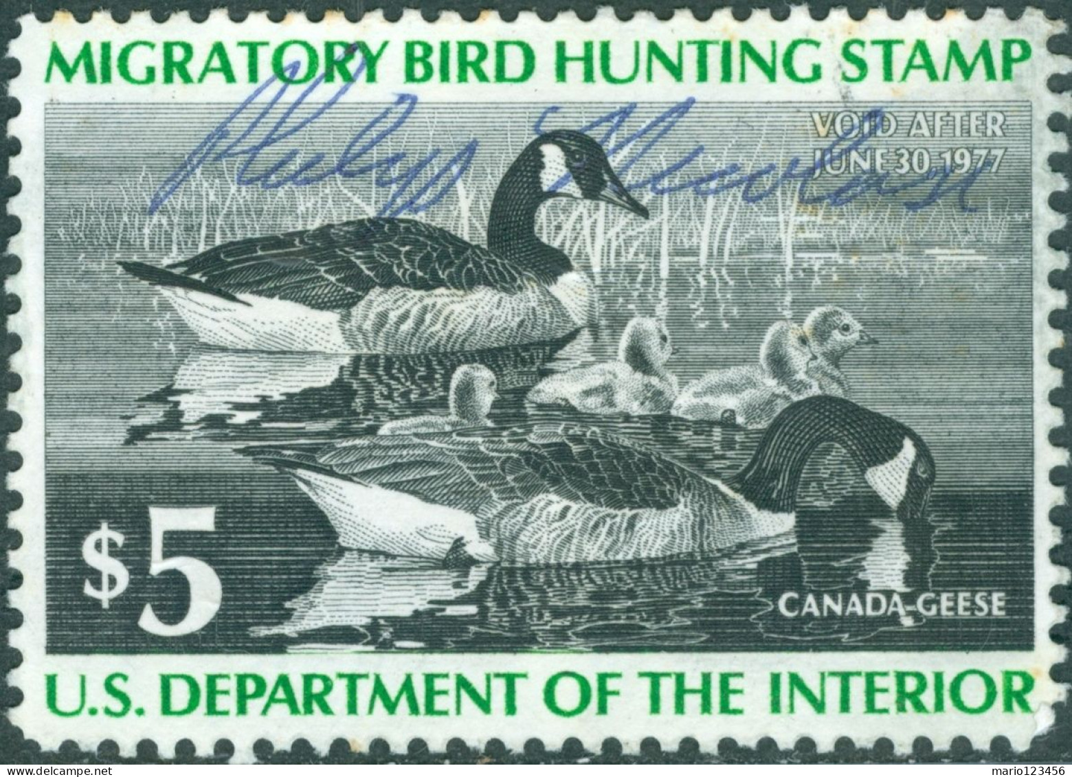 STATI UNITI D’AMERICA, UNITES STATES, TASSE, FAUNA, UCCELLI; BIRDS, 1976, USATI Scott:US RW43 - Used Stamps