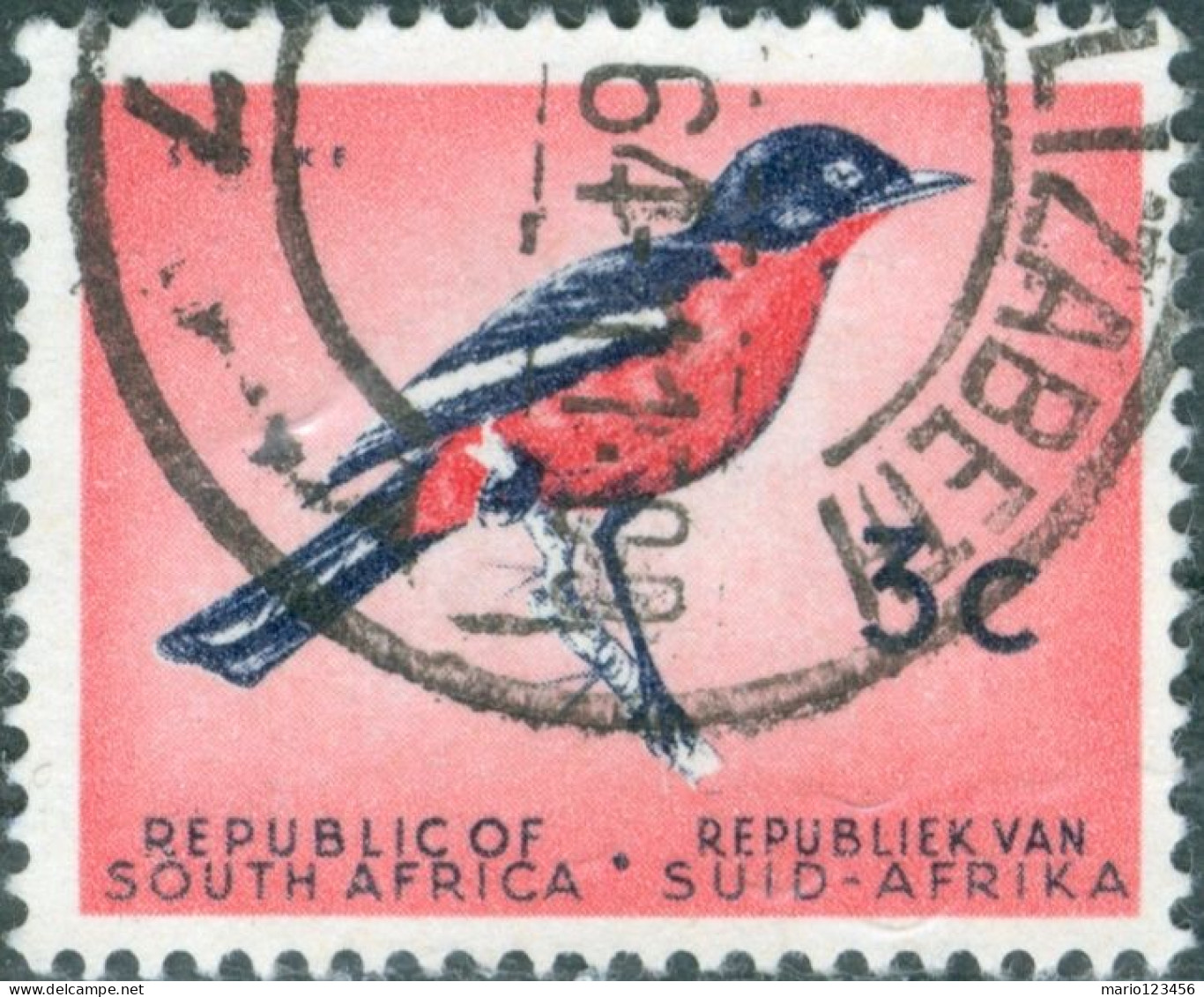 SUD AFRICA, SOUTH AFRICA, FAUNA, UCCELLI, BIRDS, 1972, FRANCOBOLLI USATI Scott:ZA 259, Yt:ZA 253 - Gebruikt