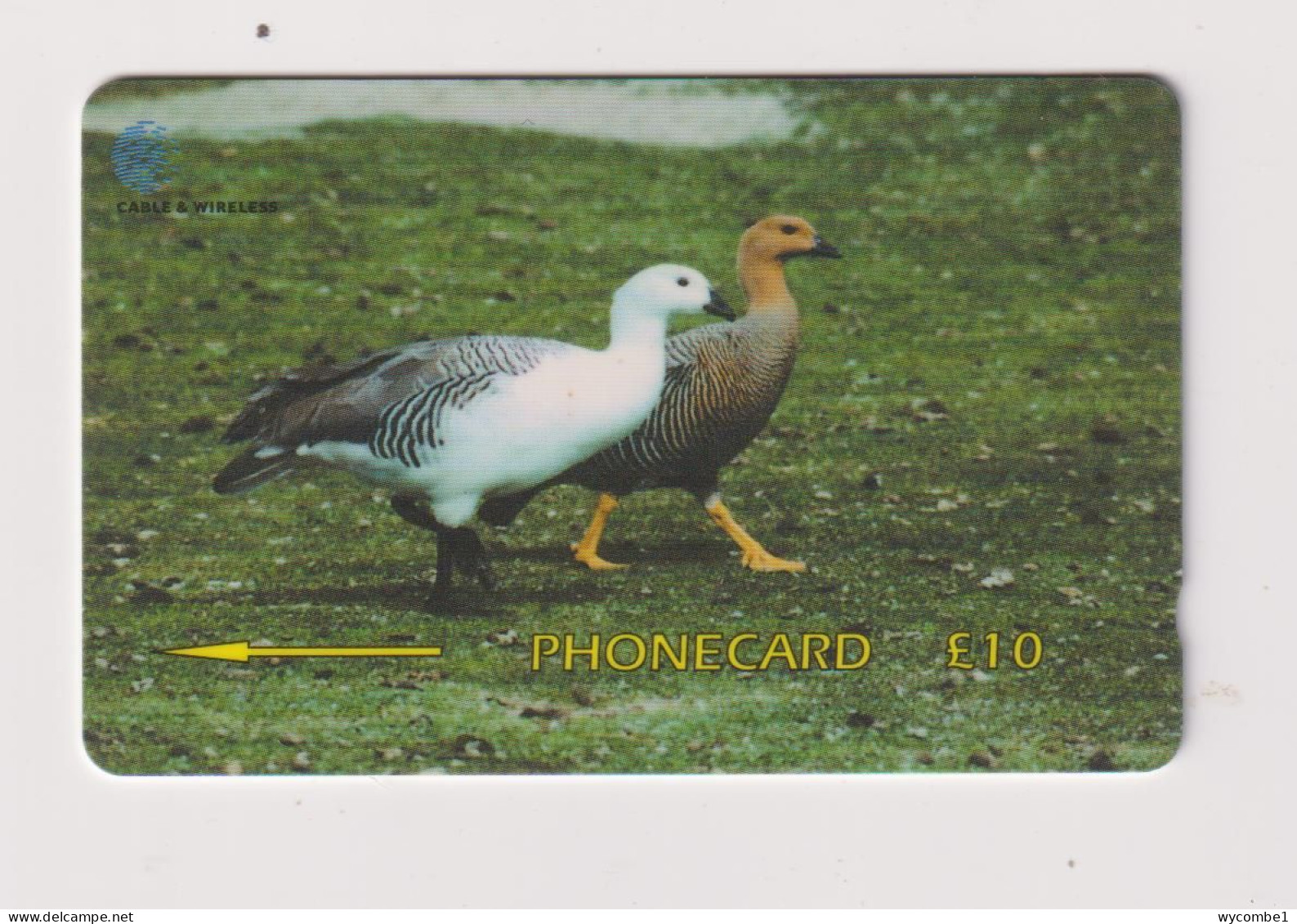 FALKLAND ISLANDS - Upland Geese Magnetic GPT Phonecard - Islas Malvinas