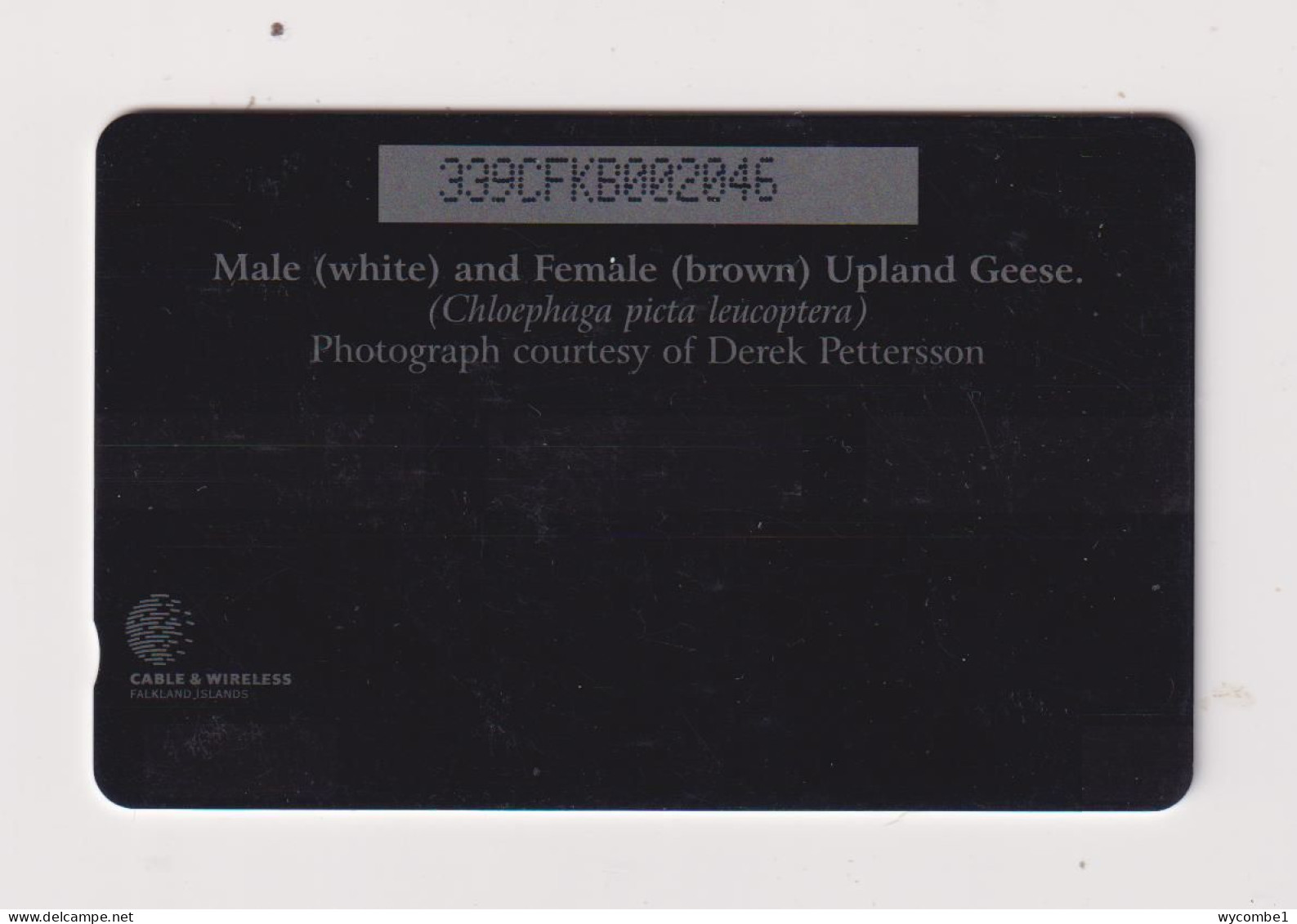 FALKLAND ISLANDS - Upland Geese Magnetic GPT Phonecard - Falkland