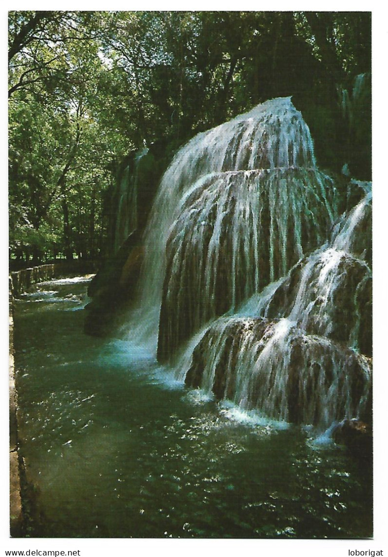 MONASTERIO DE PIEDRA - CASCADA " EL IRIS " - IRIS WATERFALL - CASCADE DE L'IRIS - ( ZARAGOZA ). - Luoghi Santi