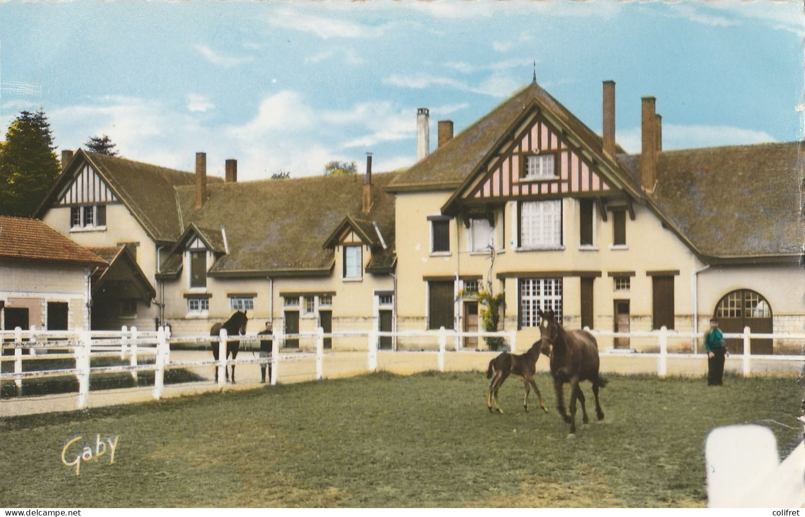 61 - Le Merlerault  -  Haras De La Beauvaisinière Et Parc à Chevaux - Le Merlerault