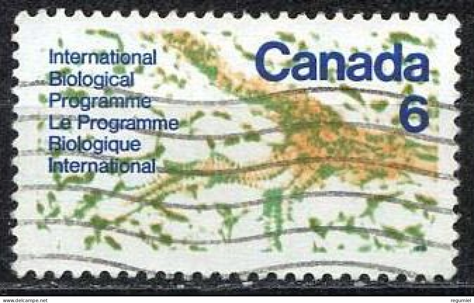 Canada U  428 (o) Usado. 1970 - Usati