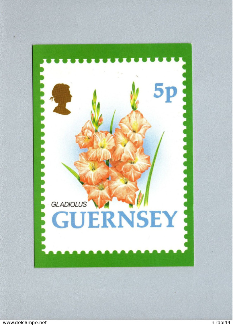 Guernsey : Gladiolus - Guernsey