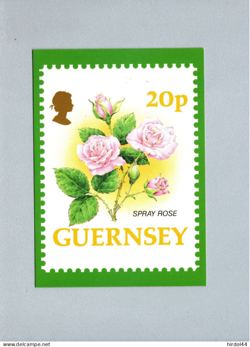 Guernsey : Spray Rose - Guernsey