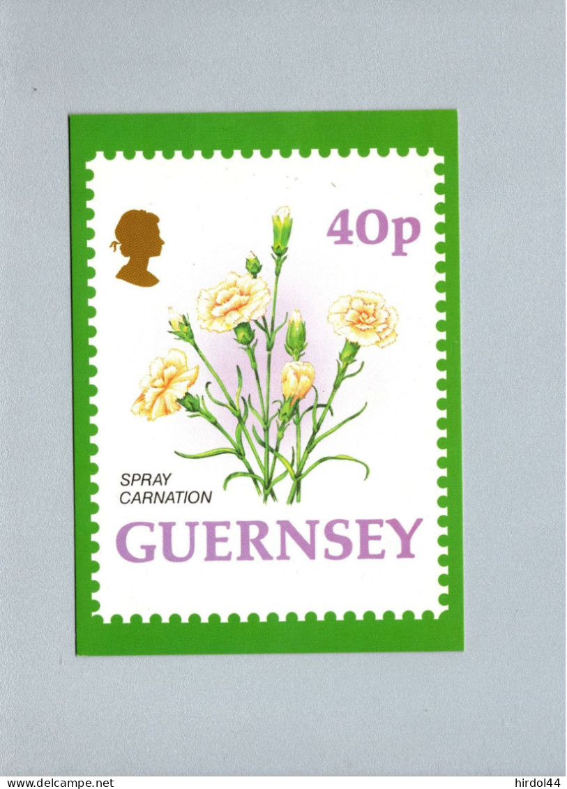 Guernsey : Spray Carnation - Guernsey