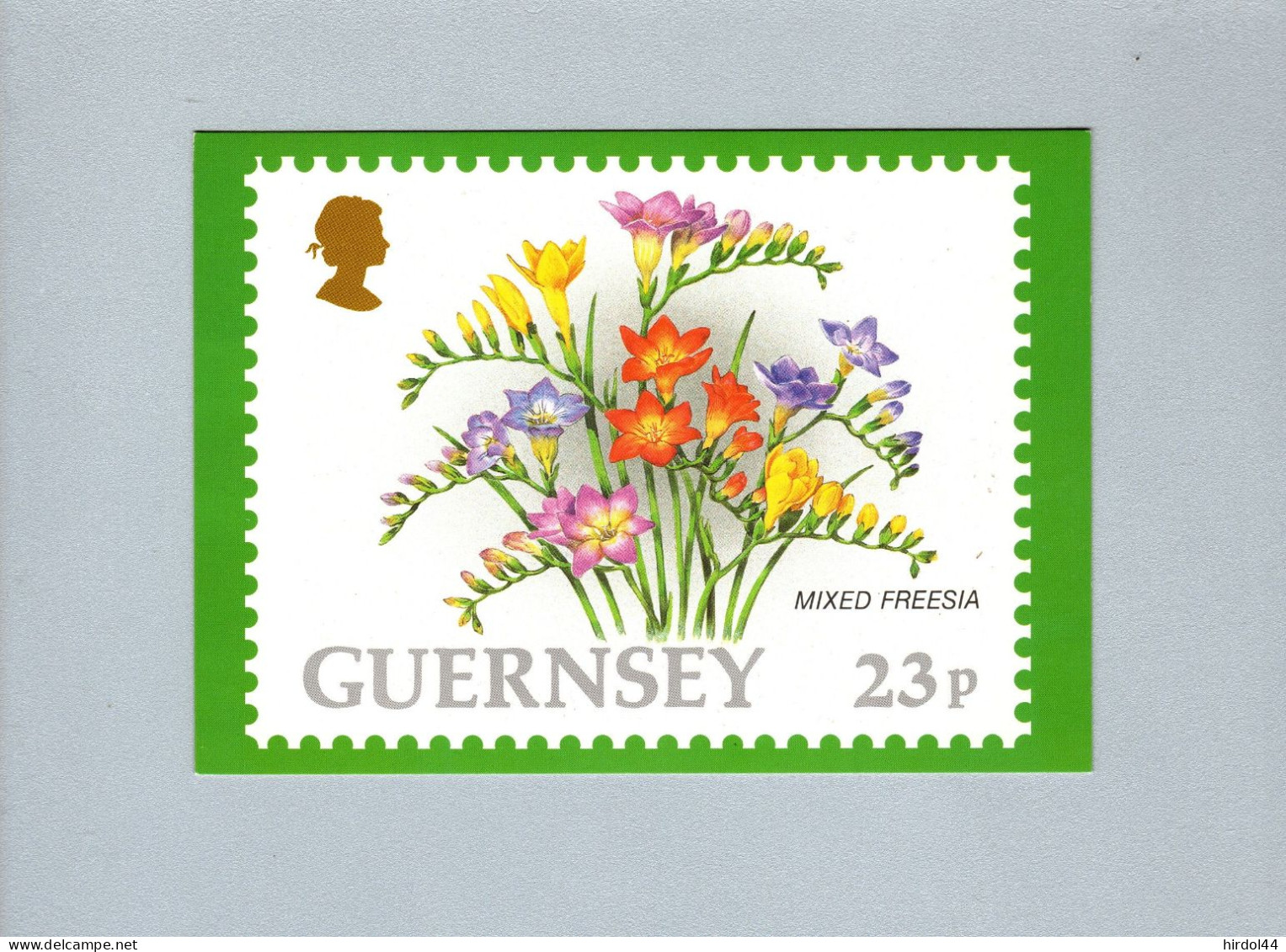 Guernsey : Mixed Freesia - Guernsey