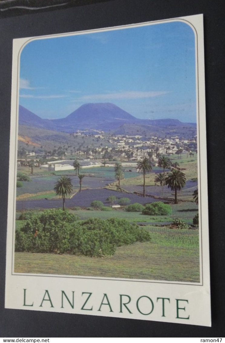 Lanzarote - Haria - Edicion Y Fotografia A. Murillo, Lanzarote - # LR 67 - Lanzarote