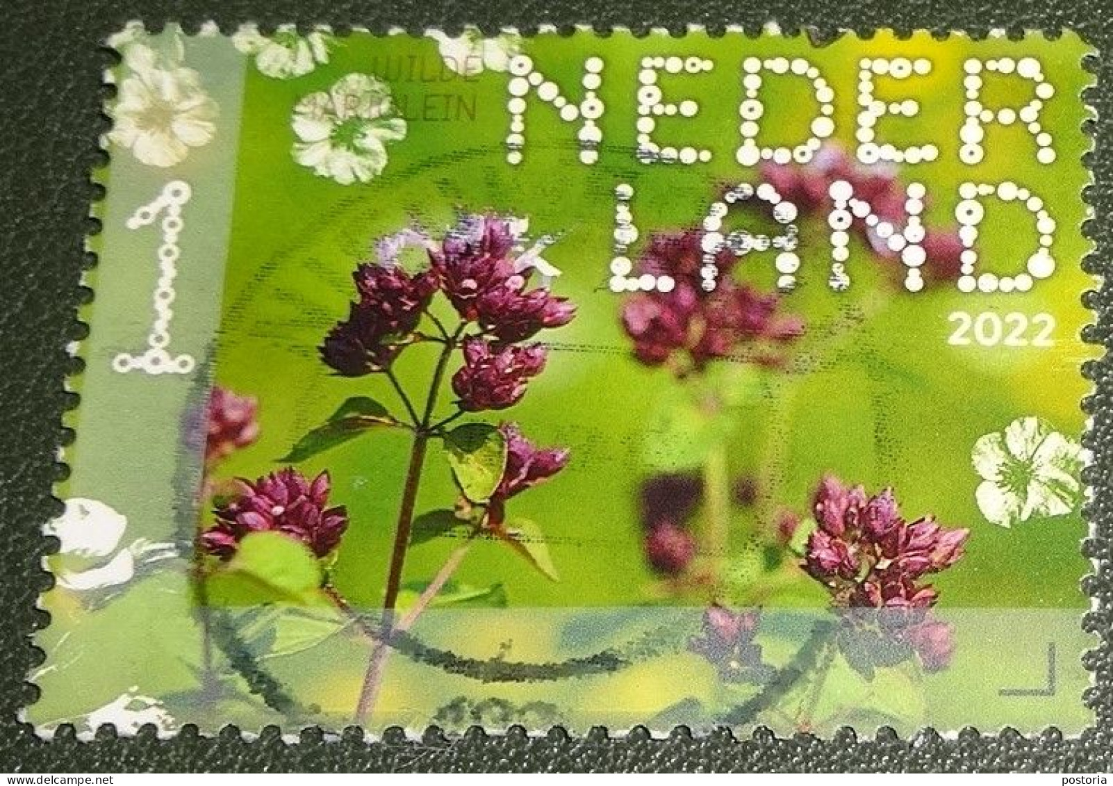 Nederland - NVPH - 4032 - 2022 - Gebruikt - Used - Beleef De Natuur - Wilde Marjolein - Used Stamps