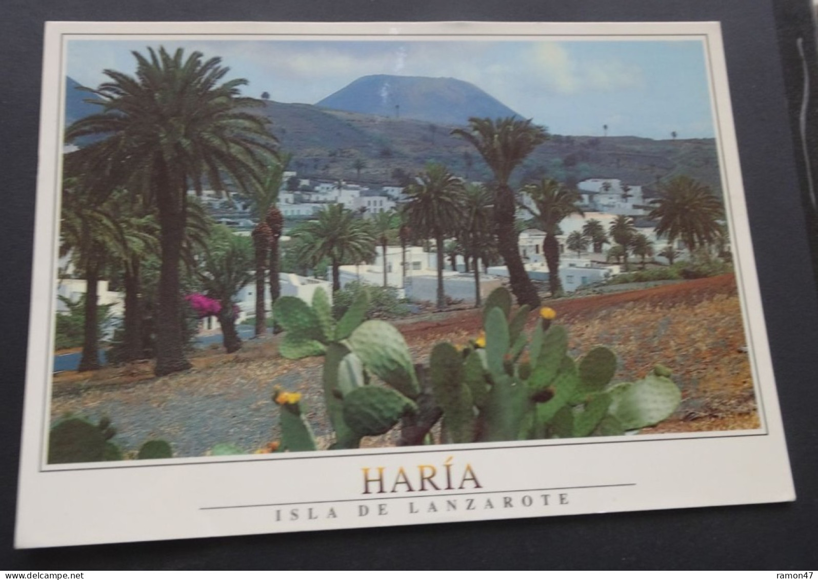 Isla De Lanzarote - Haria - Edita Imagina - Foto Tullio Gatti - # 361 - Lanzarote