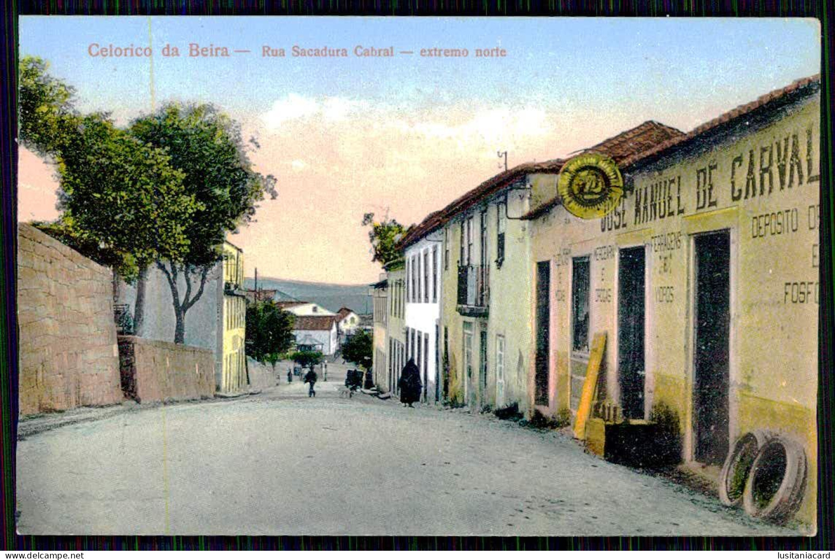 CELORICO DA BEIRA-ESTABELECIMENTO COMERCIAL-Rua Sacadura Cabral-Extremo Norte(Ed.J.Manoel De Carvalho & Cª)carte Postale - Guarda