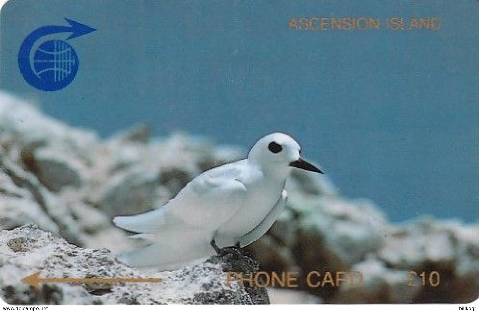 ASCENSION ISL.(GPT) - Fairy Tern, CN : 1CASC, First Issue 10 Pounds, Tirage 8426, Used - Ascension