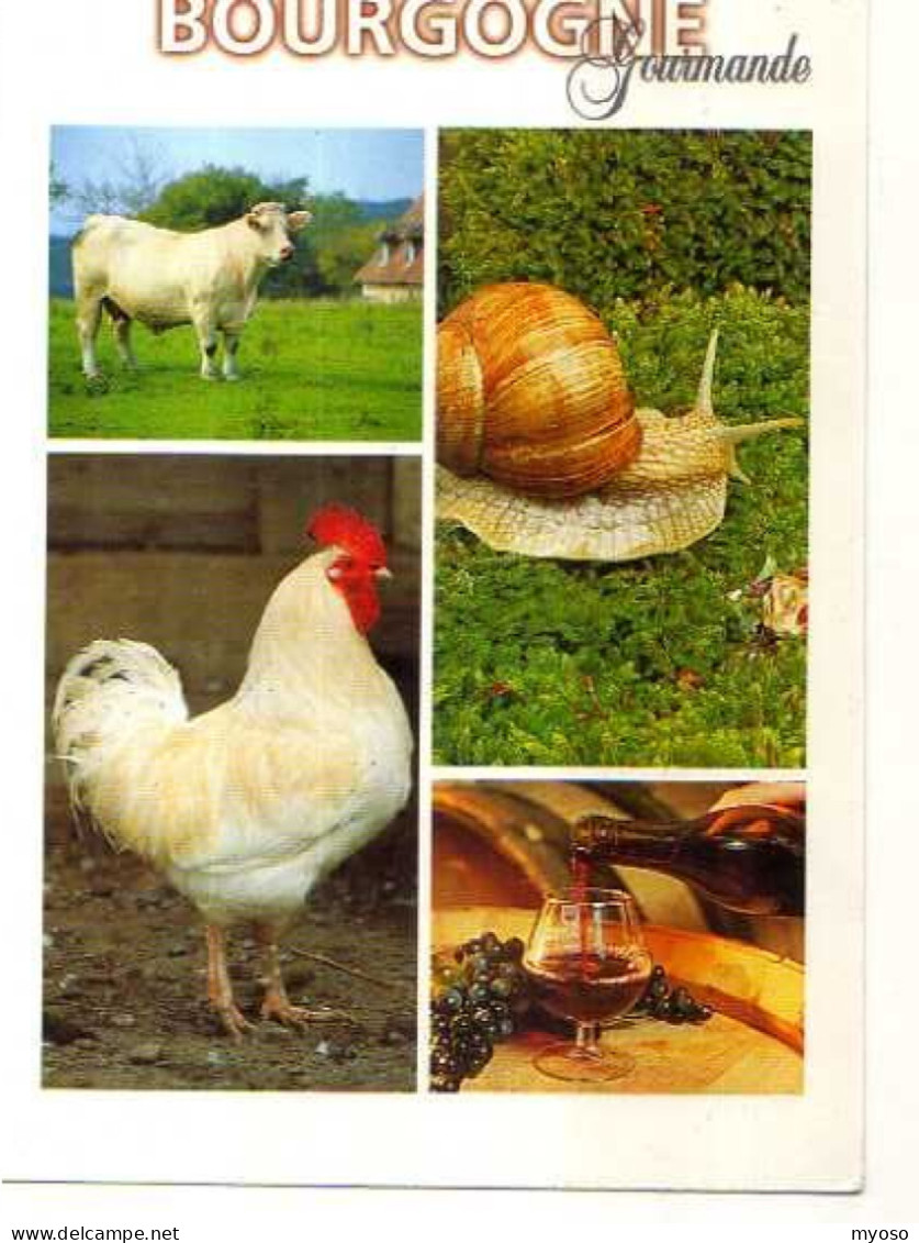 BOURGOGNE Gourmande, Photo Claude Bousquet, Escargot, Coq, Vin, Bouteille, Verre A Pied,raisin,taureau Ou Vache - Bourgogne