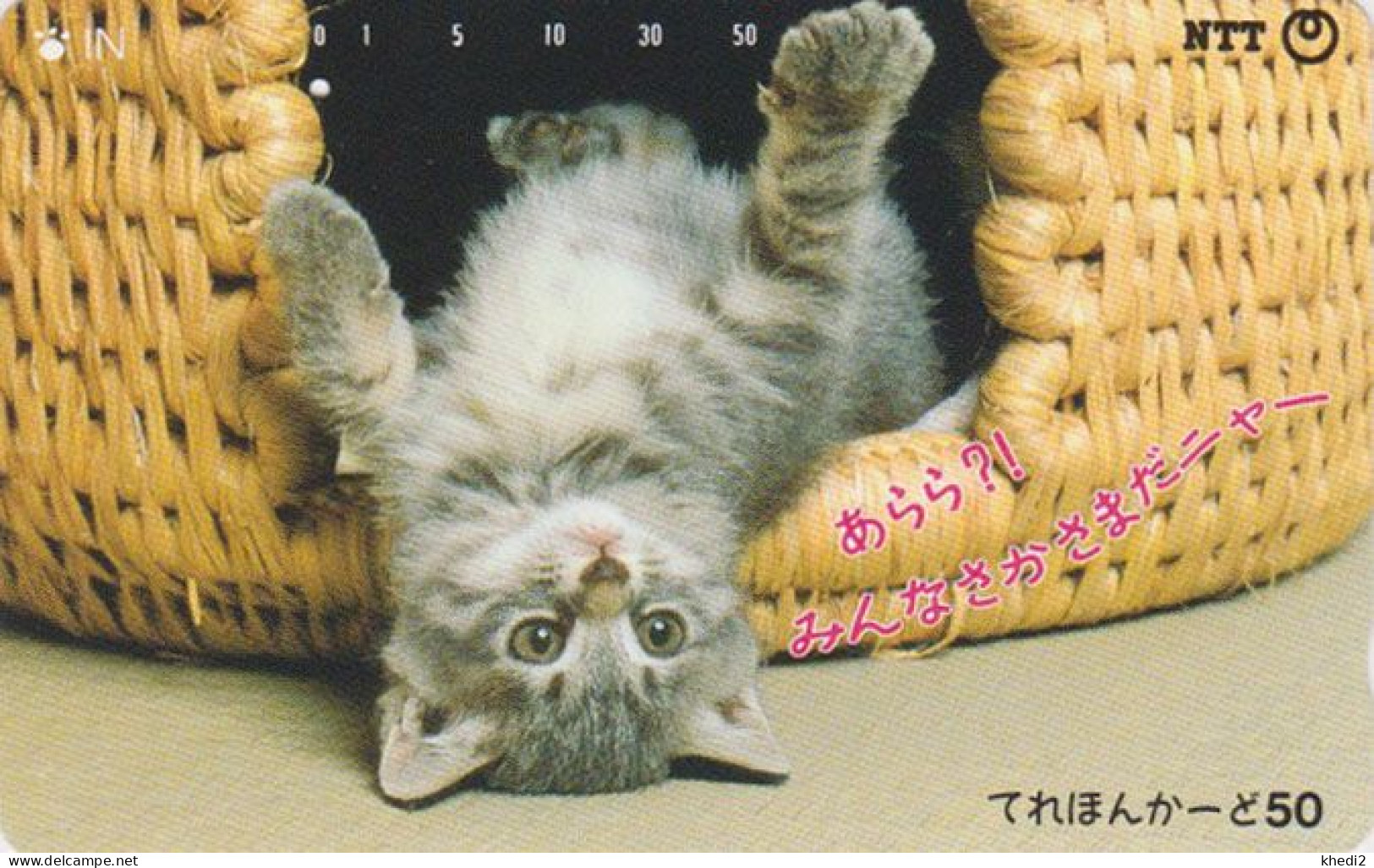 Télécarte JAPON / NTT 251-001 B ** 1 NOTCH 1 PUNCH ** - ANIMAL CHAT - CAT JAPAN Phonecard - Gatti