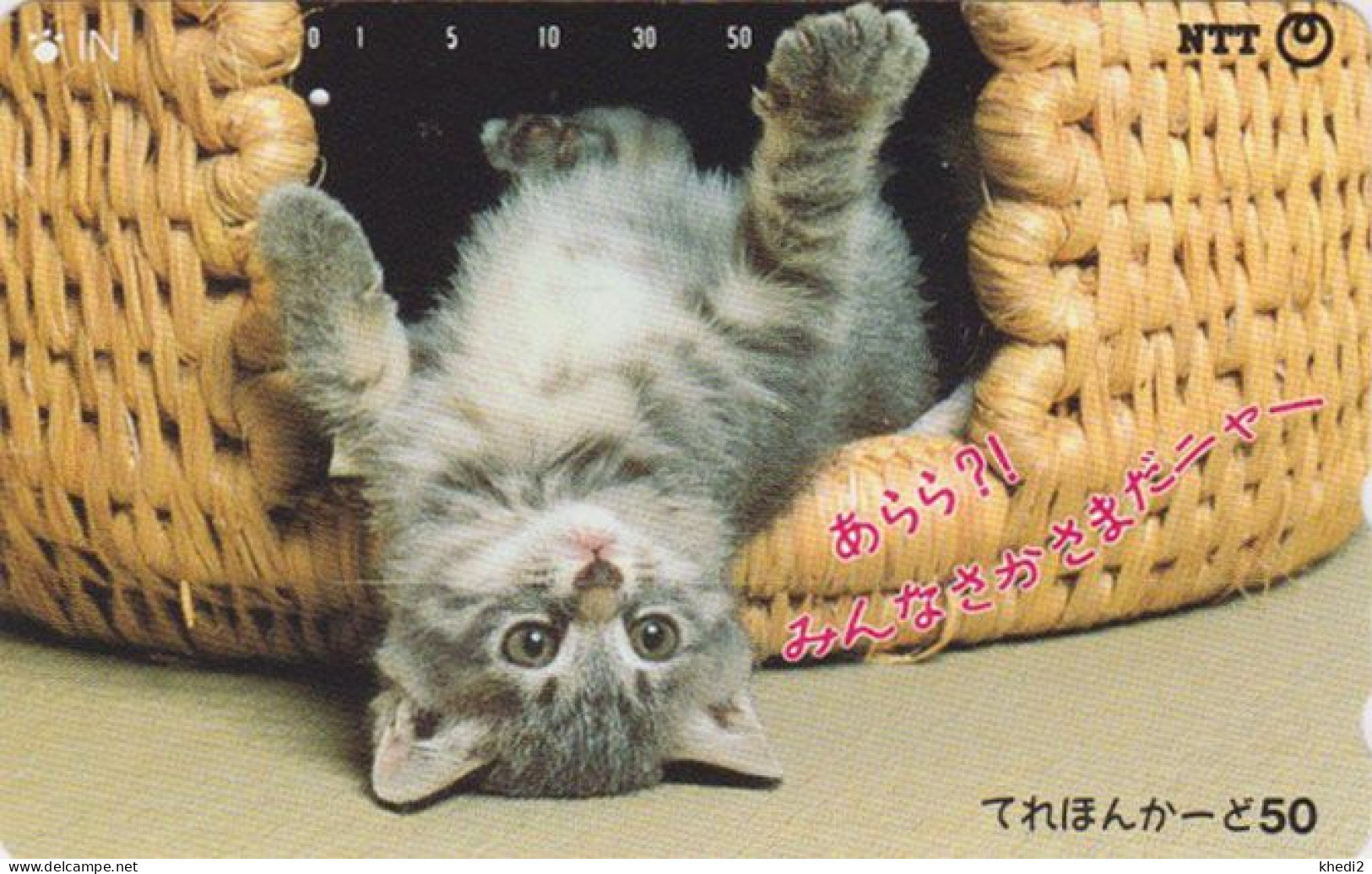 Télécarte JAPON / NTT 251-001 B ** 2 NOTCHES 1 PUNCH ** - ANIMAL CHAT - CAT JAPAN Phonecard - Katzen