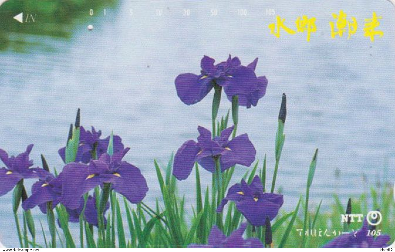 Télécarte JAPON / NTT 251-003 B ** 1 PUNCH ** - FLEUR IRIS D'EAU - FLOWER JAPAN Phonecard - Flowers