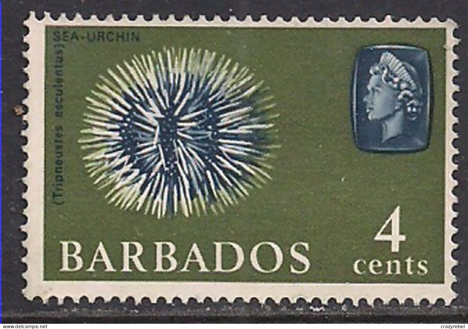 Barbados 1966-69 QE2 4cents Coral MNG SG 345 ( K365 ) - Bahrein (...-1965)