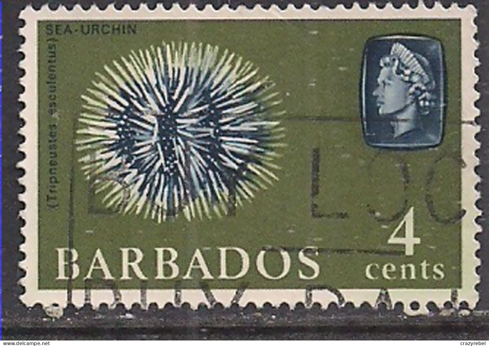 Barbados 1966-69 QE2 4cents Coral SG 345 Used ( K391 ) - Bahrein (...-1965)