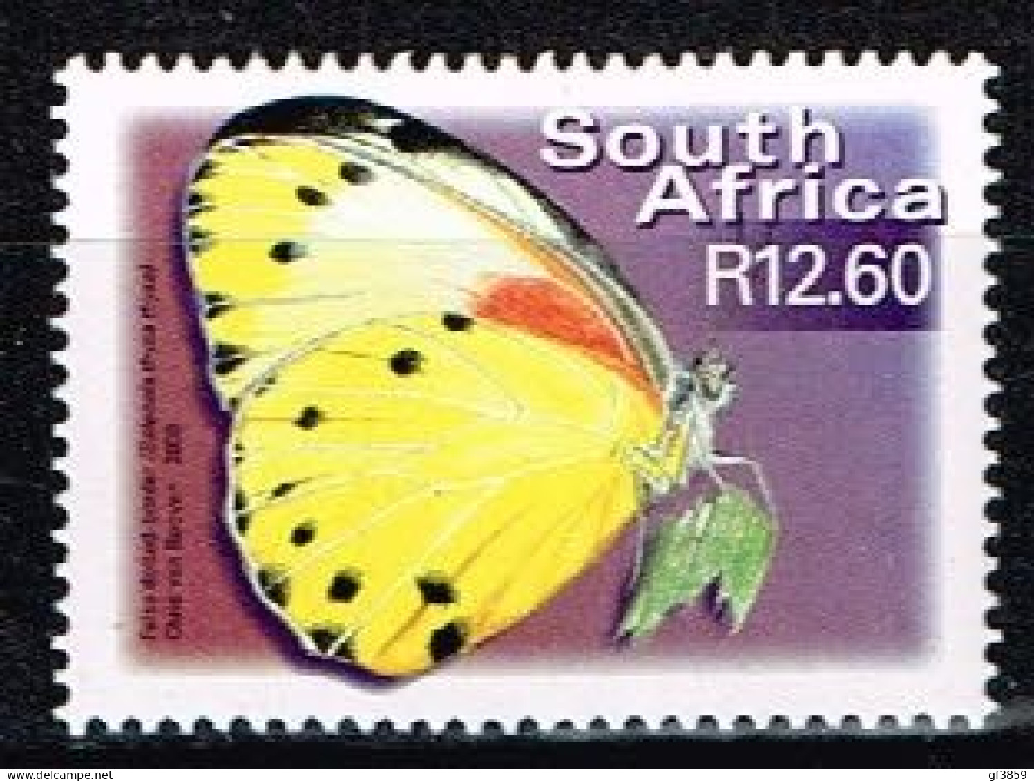 AFRIQUE DU SUD / SOUTH AFRICA / Neufs ** / MNH / 2000 - Série Courante /Papillons - Ungebraucht