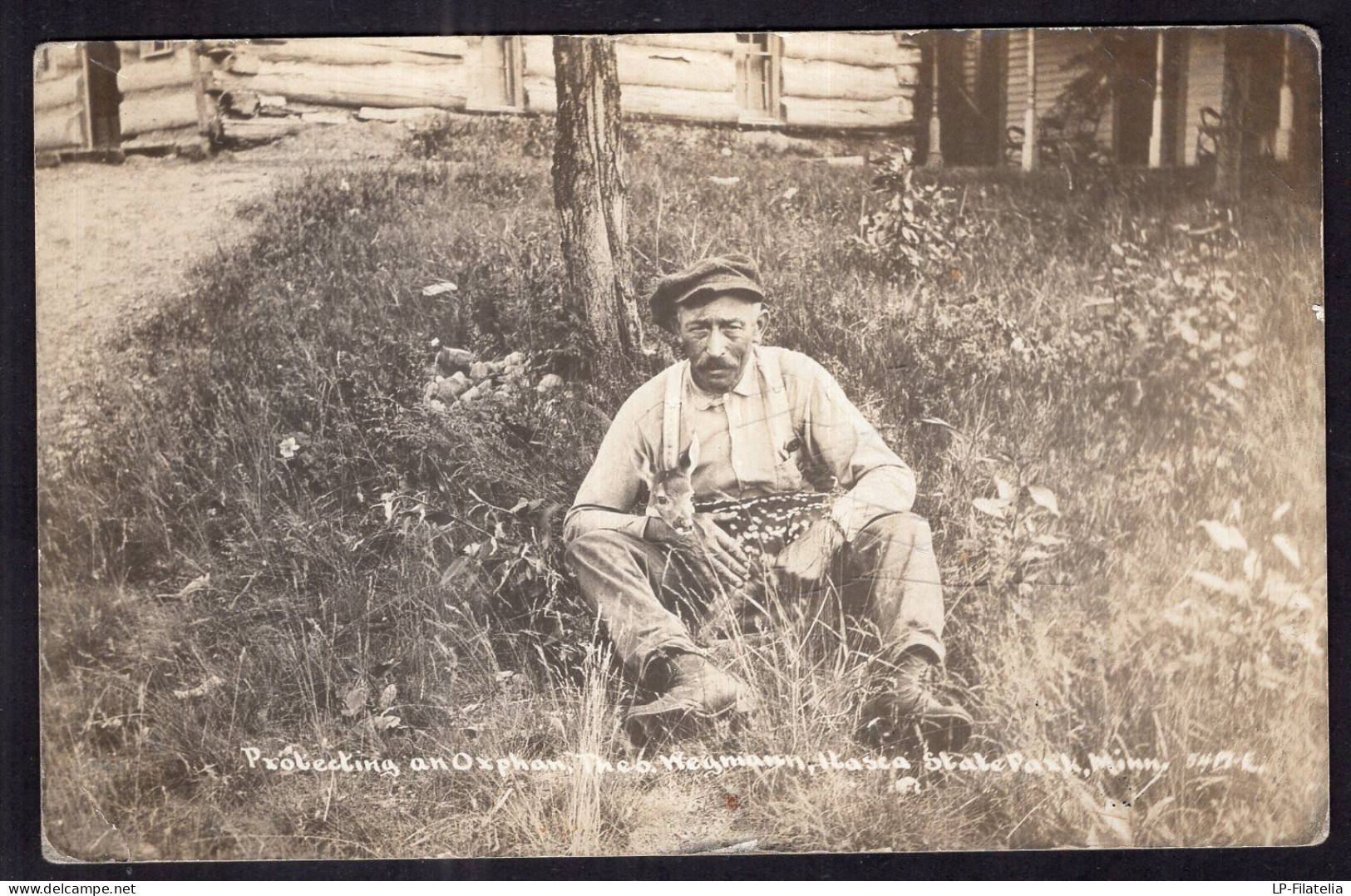 United States - 1902 - Itasca - State Park - Protecting An Orphan Deer - Autres & Non Classés