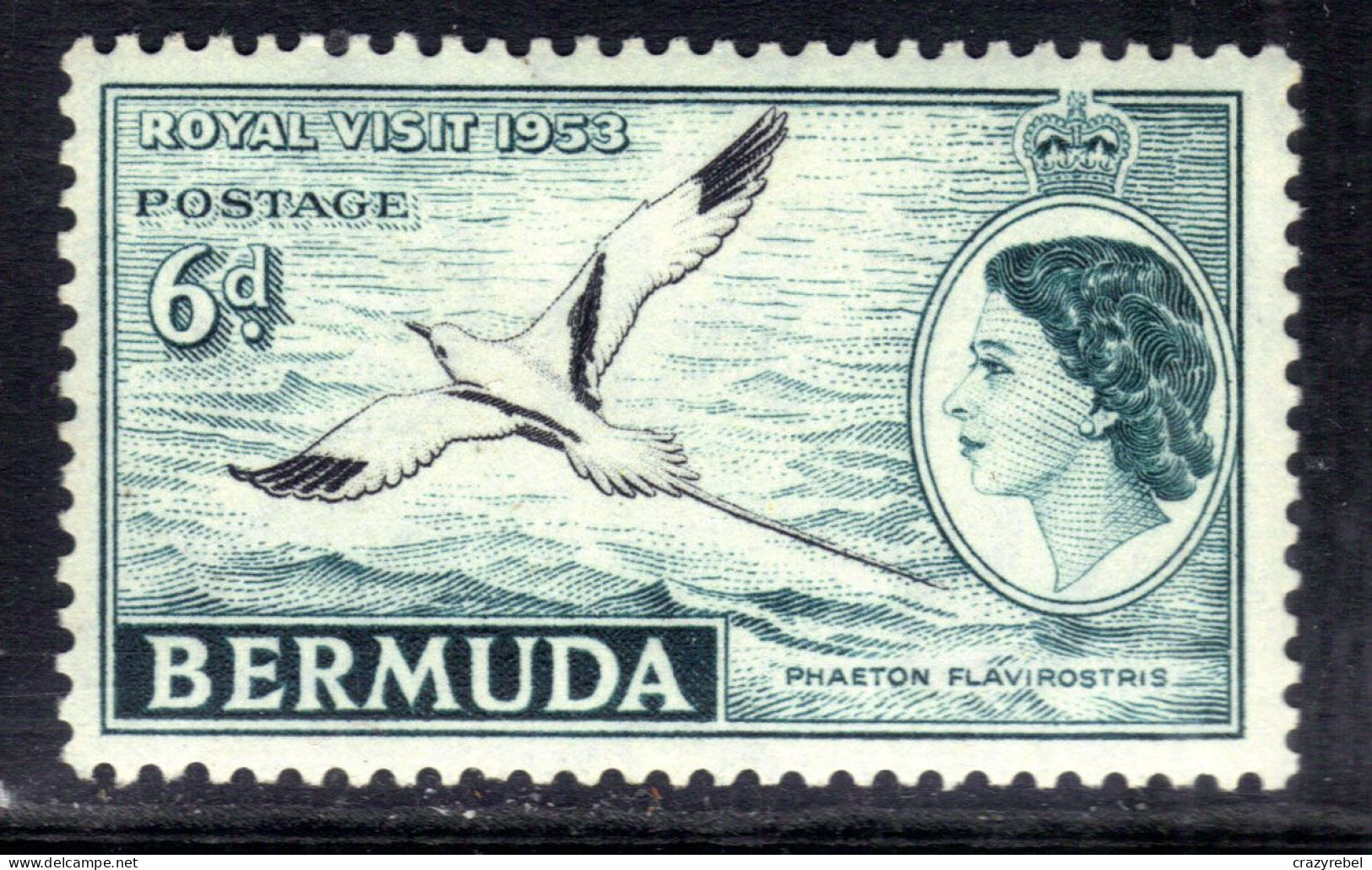 Bermuda 1953  QE2 6d Tropic Bird Royal Visit Umm SG 151 (M1260 ) - Bermuda