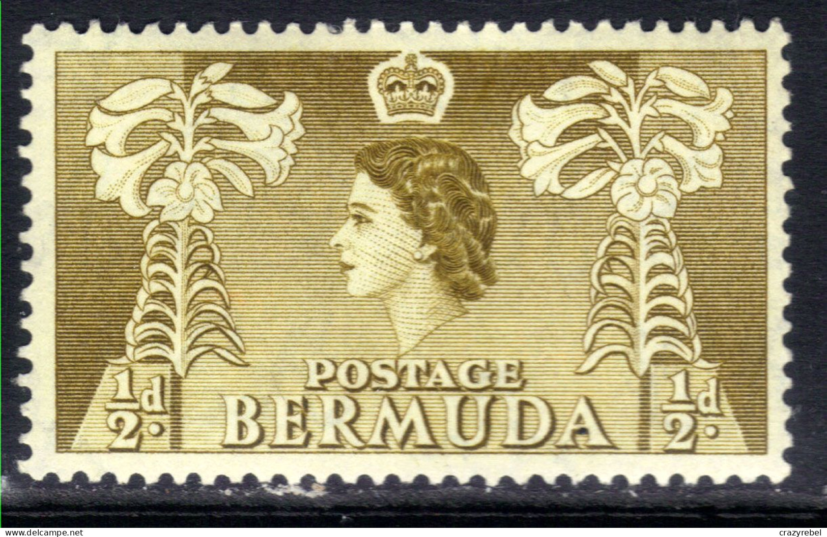 Bermuda 1953 - 62 QE2 1/2d Easter Lilies MM SG 135a ( J1383  ) - Bermuda