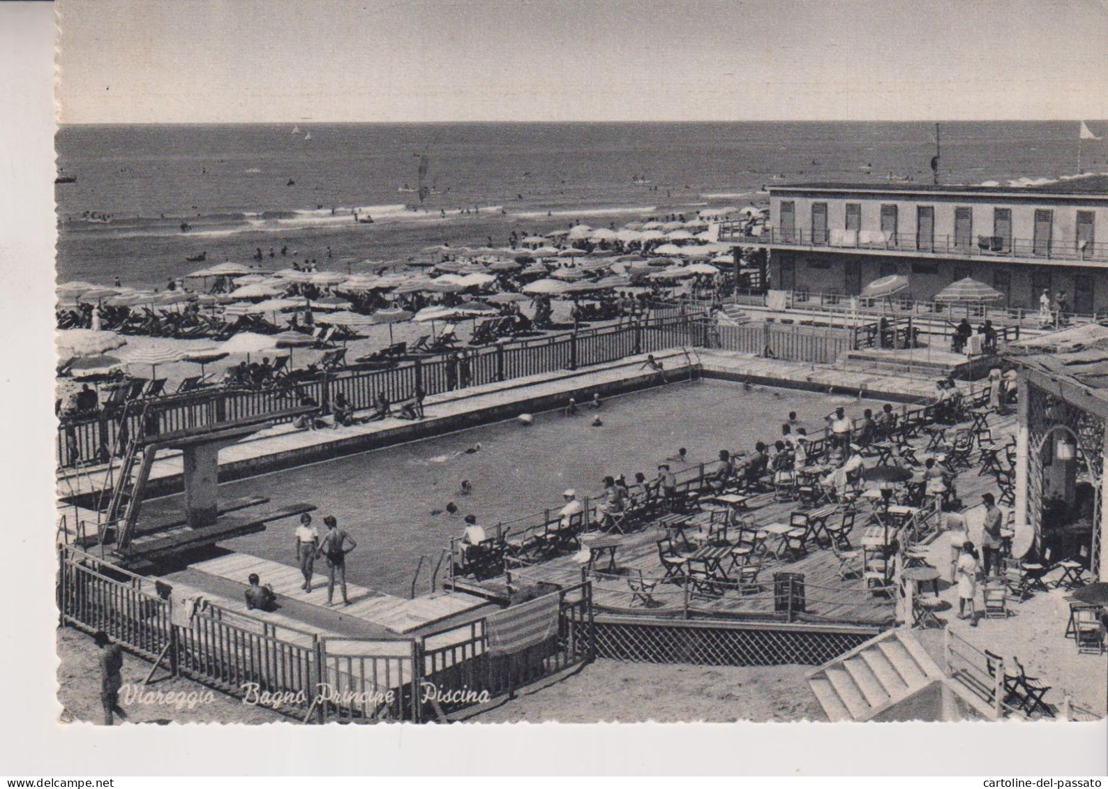 VIAREGGIO  BAGNO PRINCIPE  PISCINA  VG  1954 - Viareggio