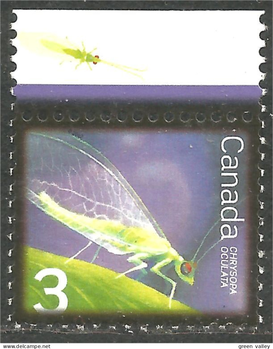 Canada Insecte Insect Insekt Lacewing Chrysope Merlettatura Florfliege MNH ** Neuf SC (C22-35bf) - Neufs