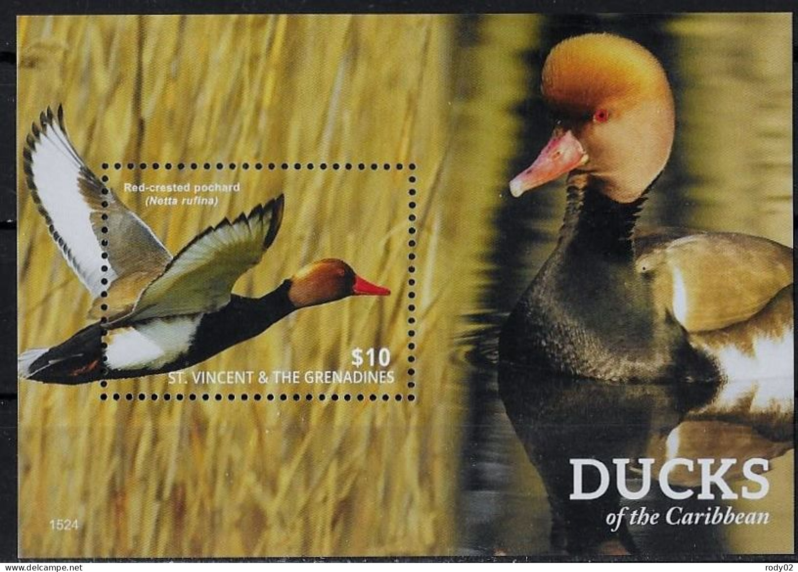 ST VINCENT - OISEAUX - CANARDS - N° 6021 A 6024 ET BF 751 - NEUF** MNH - Entenvögel