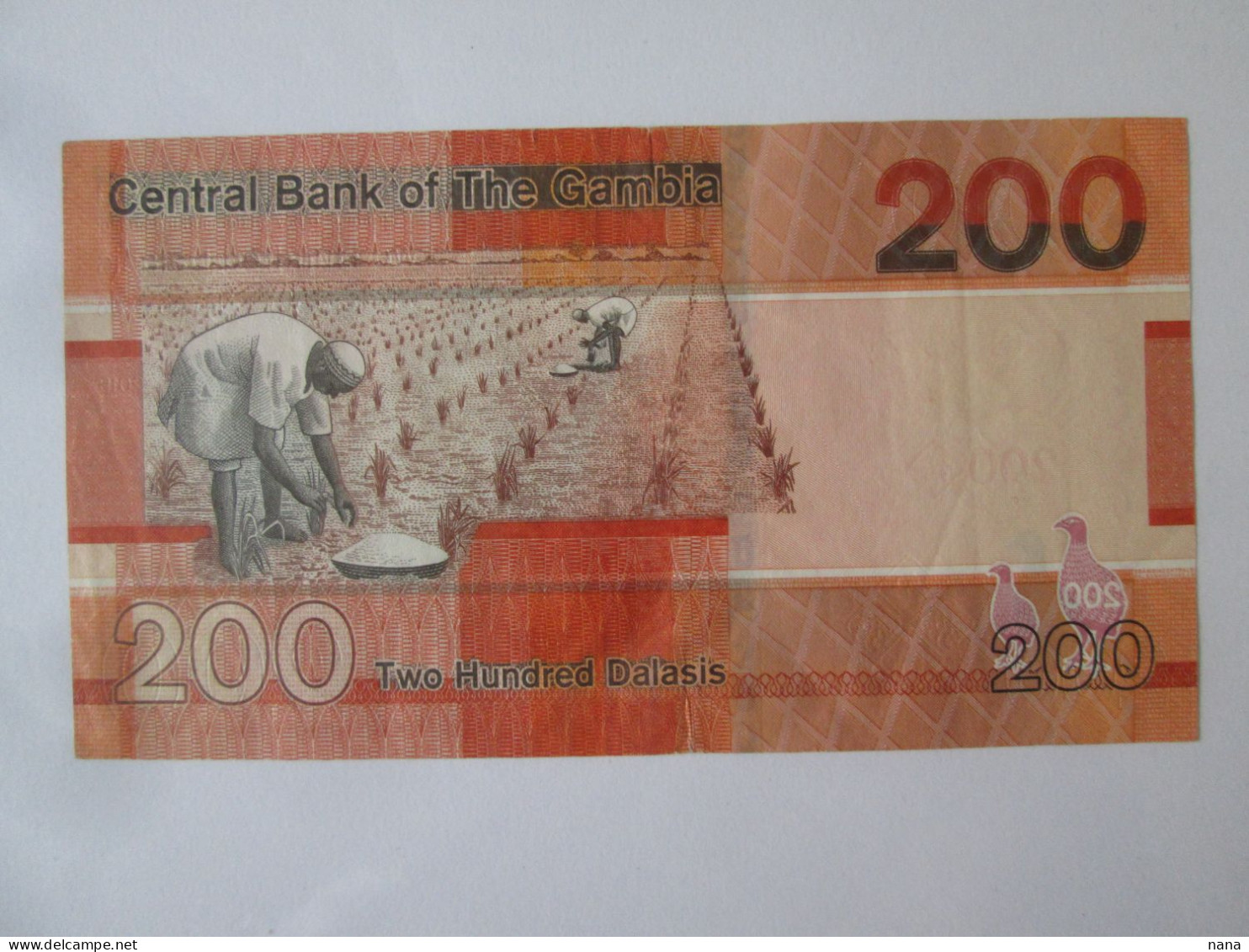 Gambia 200 Dalasis 2019 AUNC Banknote See Pictures - Gambie