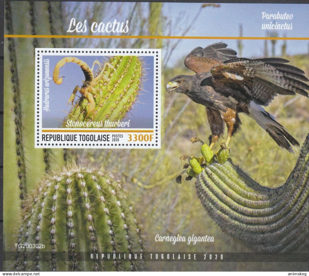 Togo 2020**, Kakteen / Togo 2020, MNH, Cacti - Sukkulenten