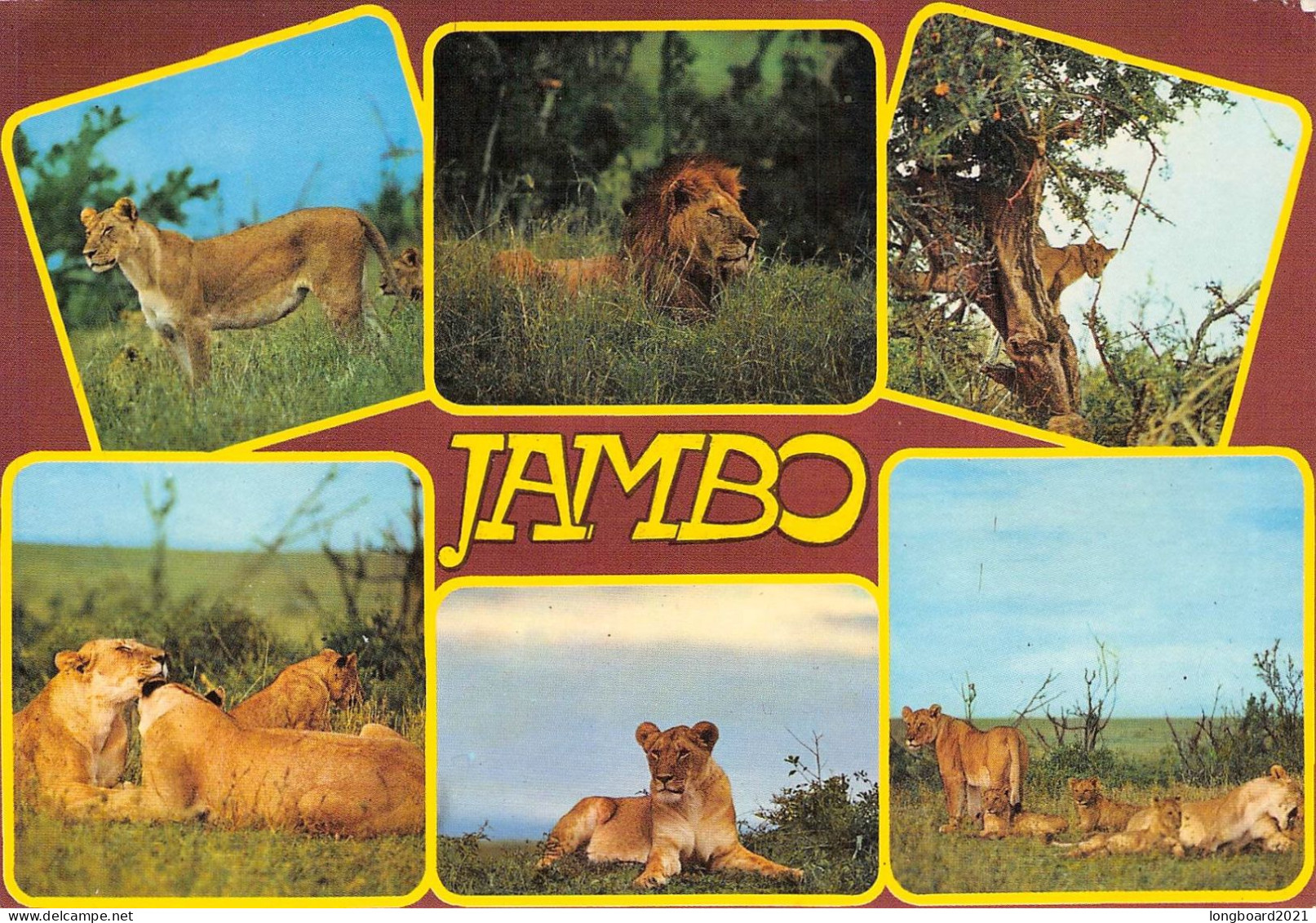 KENYA - PICTURE POSTCARD 1981 - KARLSRUHE/DE / 5123 - Kenia (1963-...)