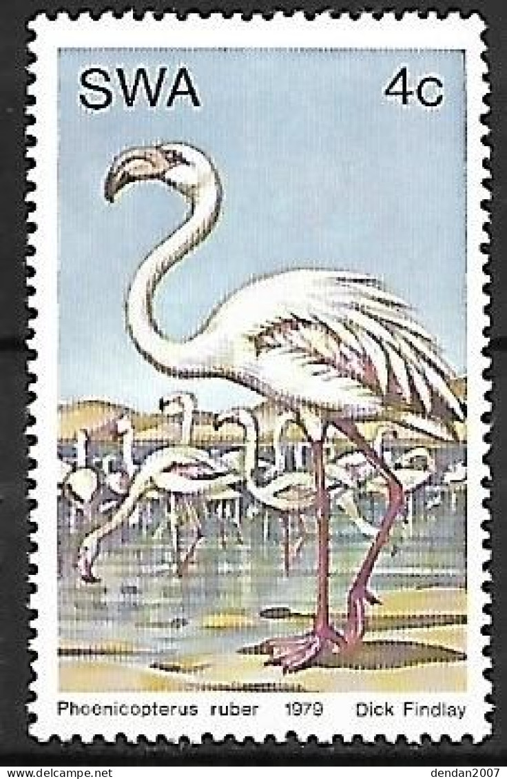 SWA (South West Africa) - MNH ** 1979 :  Greater Flamingo  -  Phoenicopterus Roseus - Flamencos