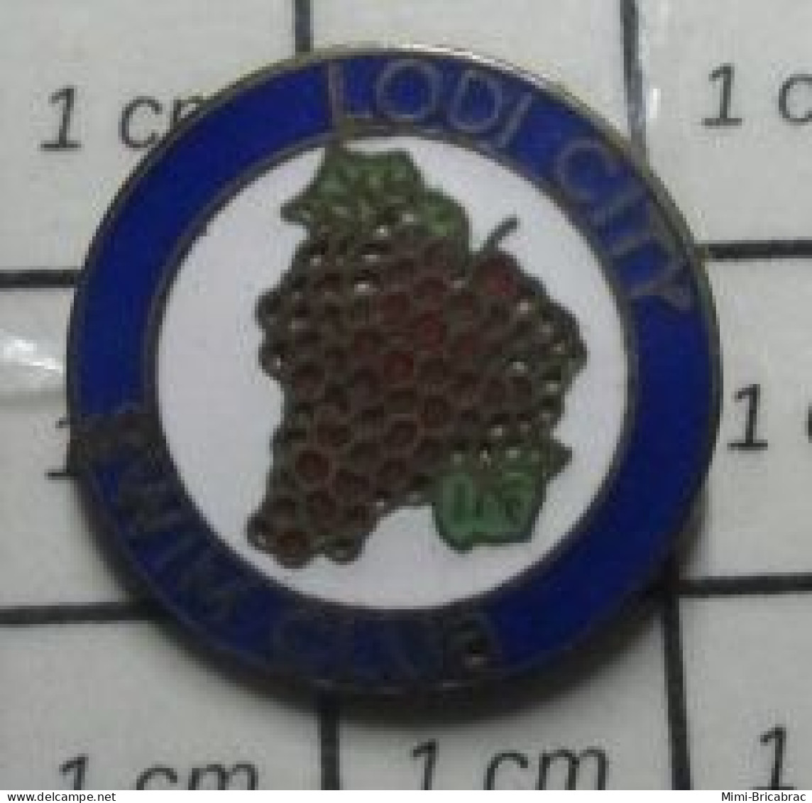 1417 Pin's Pins / Beau Et Rare / SPORTS / NATATION GRAPPE DE RAISIN LODI CITY SWIM CLUB - Swimming