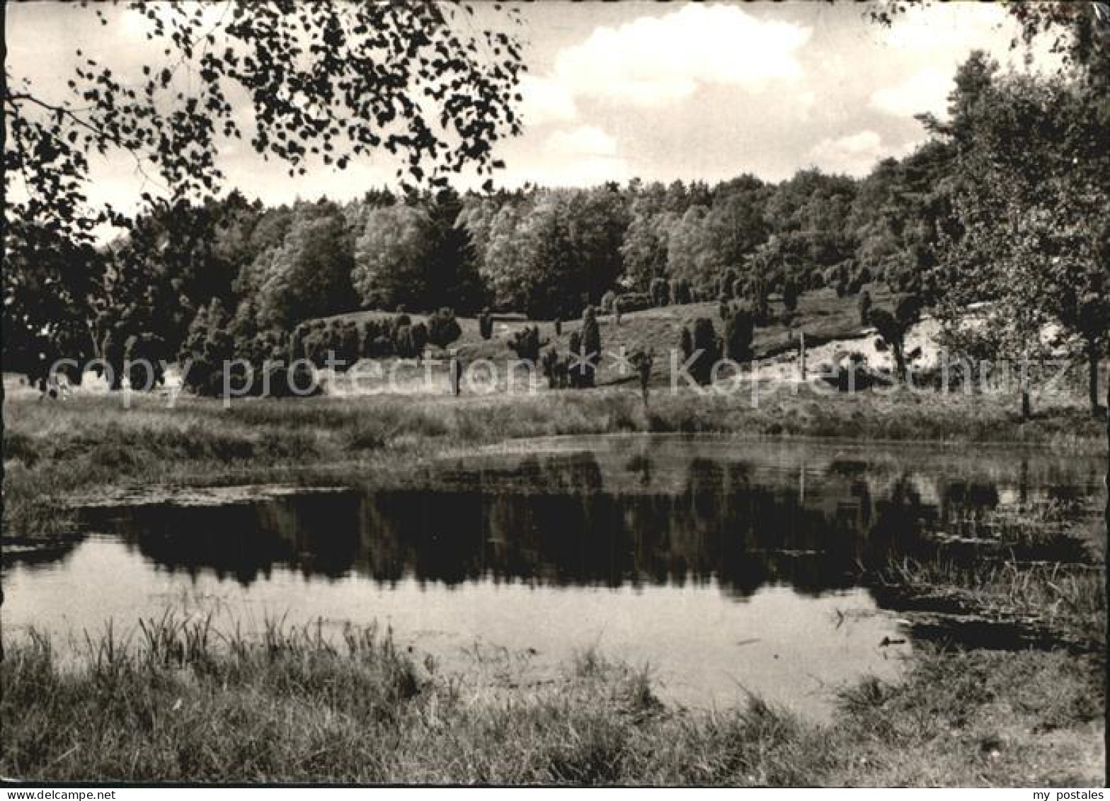 72570618 Lueneburger Heide Teilansicht  Walsrode - Walsrode